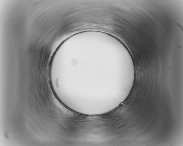 X0000102471531200808291553
