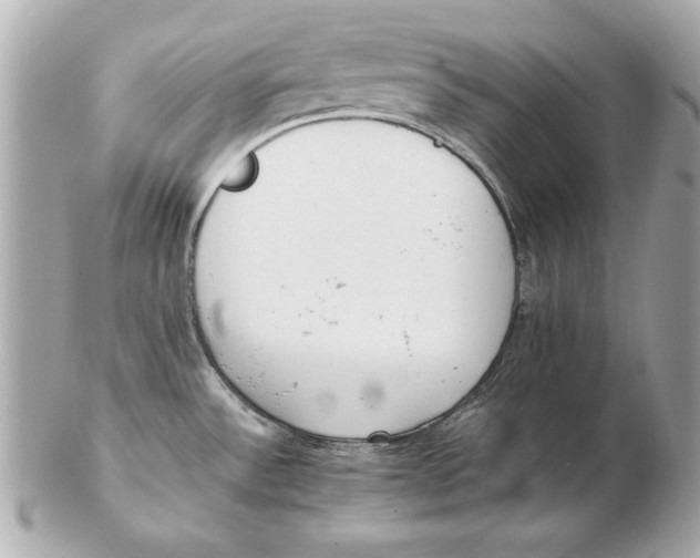 X0000102471532200808291553