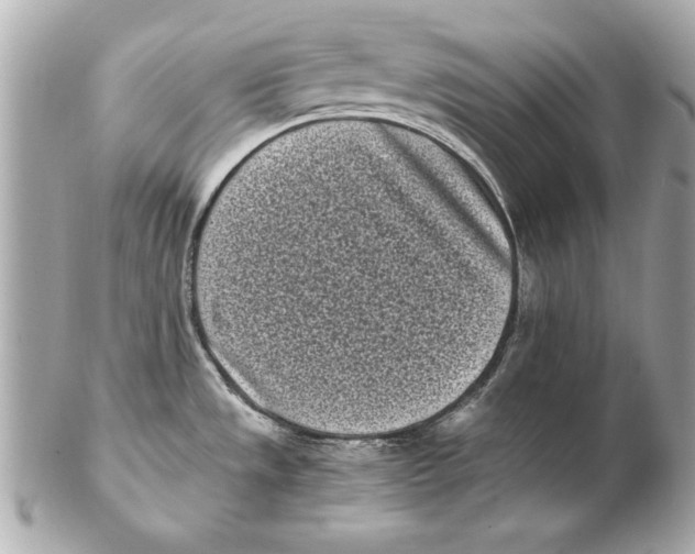 X0000102471533200808291553