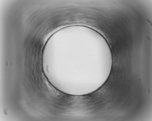 X0000102471534200808291553