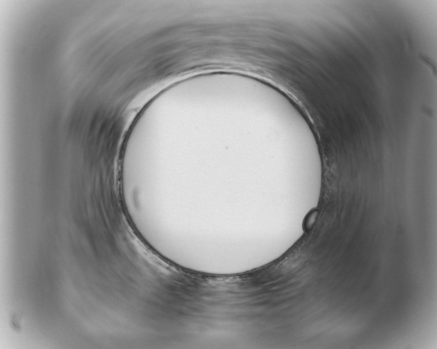 X0000102471535200808291553
