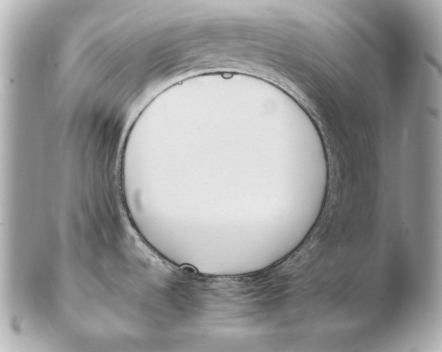 X0000102471536200808291553