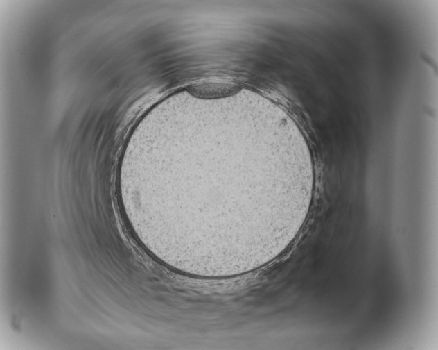 X0000102470001200809051343