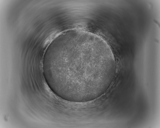 X0000102470002200809051343