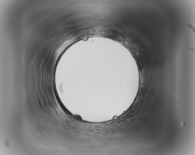 X0000102470003200809051343