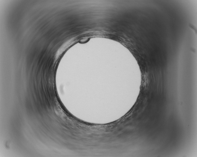 X0000102470004200809051343