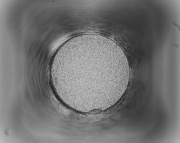 X0000102470005200809051343