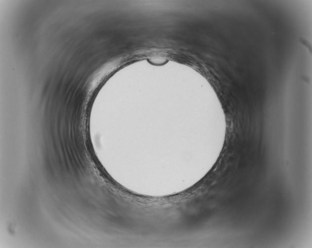 X0000102470006200809051343