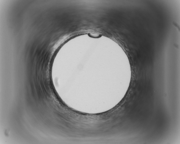 X0000102470008200809051343