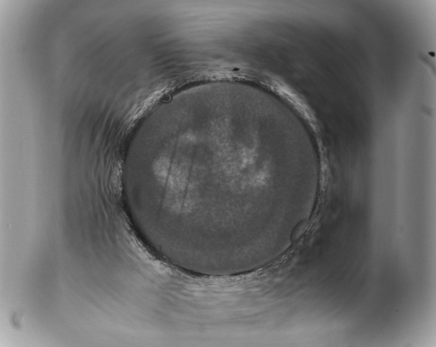 X0000102470009200809051343