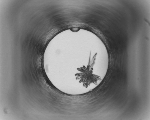 X0000102470010200809051343