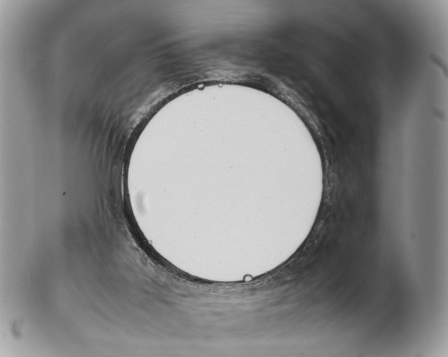 X0000102470011200809051343
