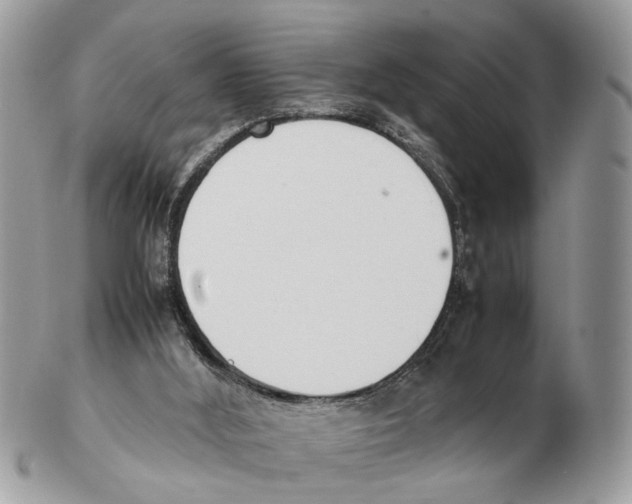 X0000102470012200809051343