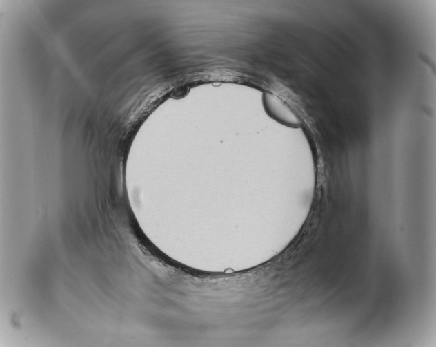 X0000102470013200809051343