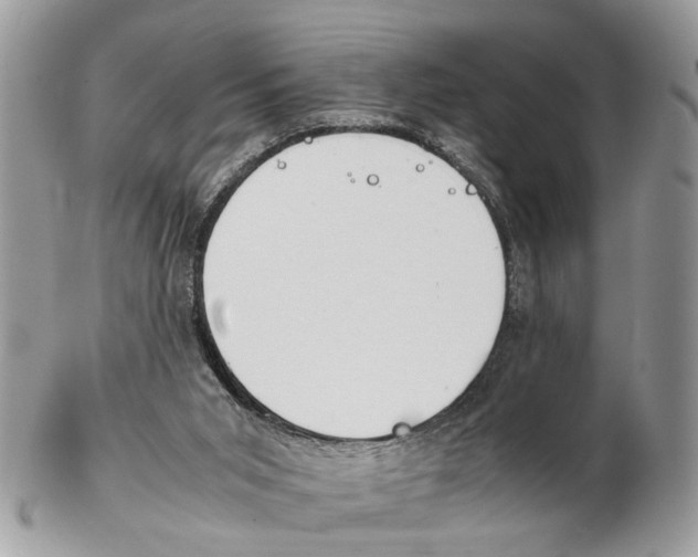 X0000102470015200809051343