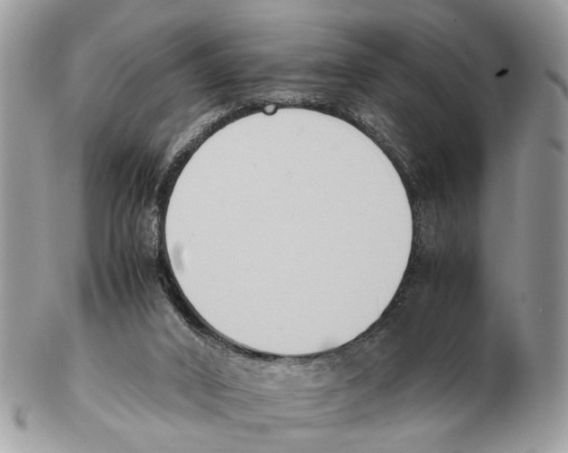 X0000102470016200809051343