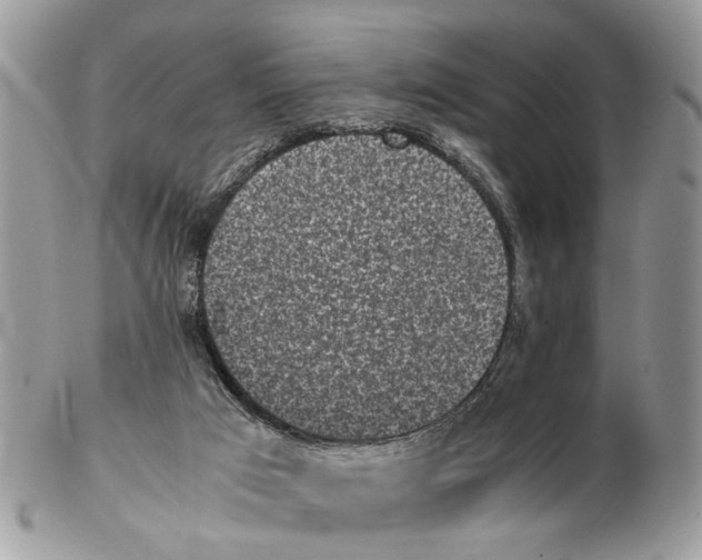 X0000102470017200809051343