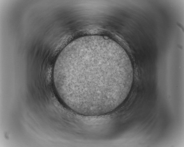 X0000102470018200809051343