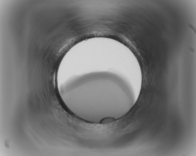 X0000102470019200809051343