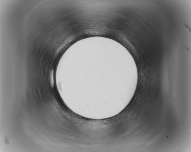 X0000102470020200809051343