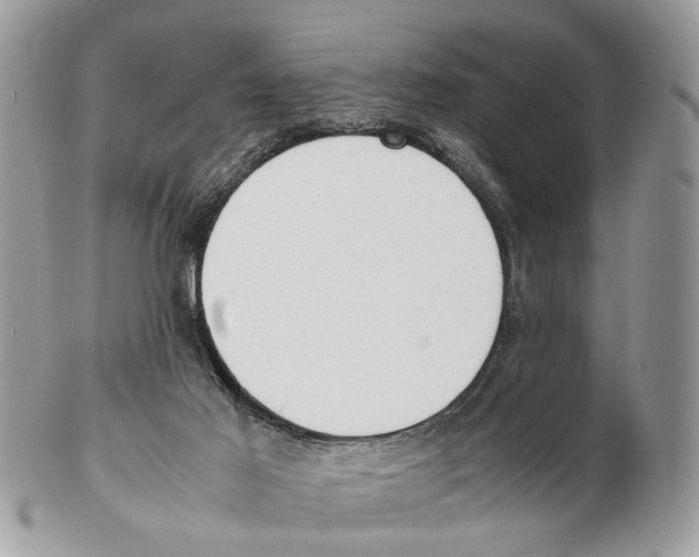 X0000102470021200809051343