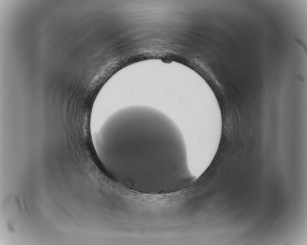 X0000102470023200809051343