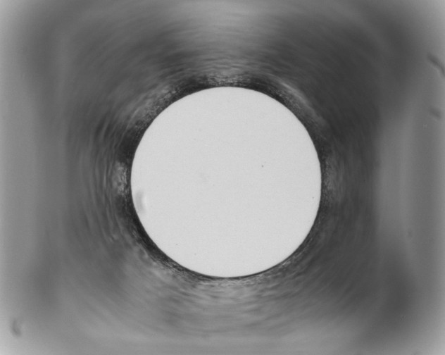 X0000102470025200809051343
