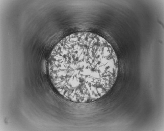 X0000102470026200809051343