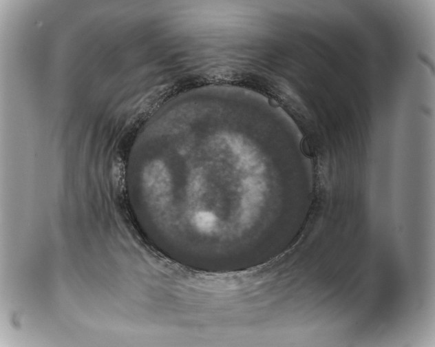 X0000102470029200809051343