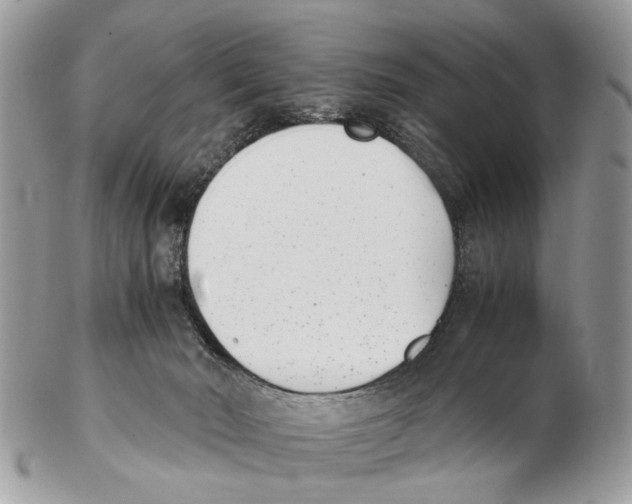 X0000102470030200809051343