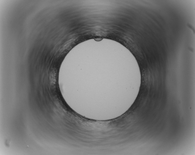 X0000102470032200809051343