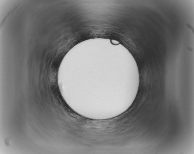X0000102470033200809051343