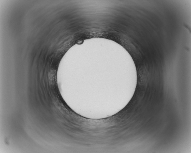 X0000102470034200809051343