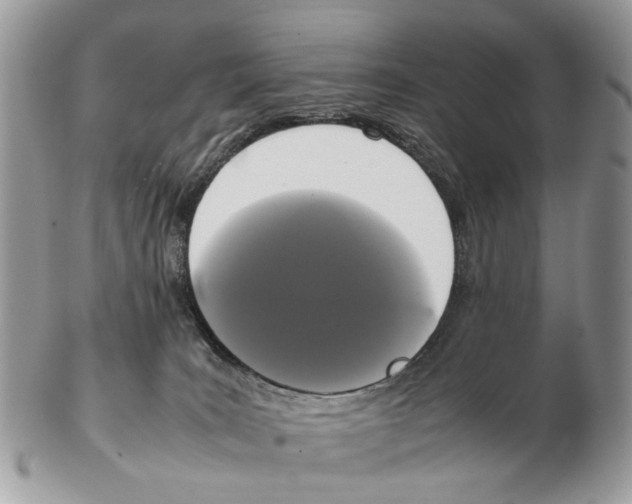 X0000102470035200809051343