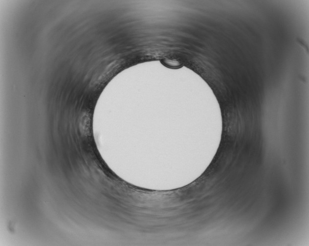 X0000102470036200809051343