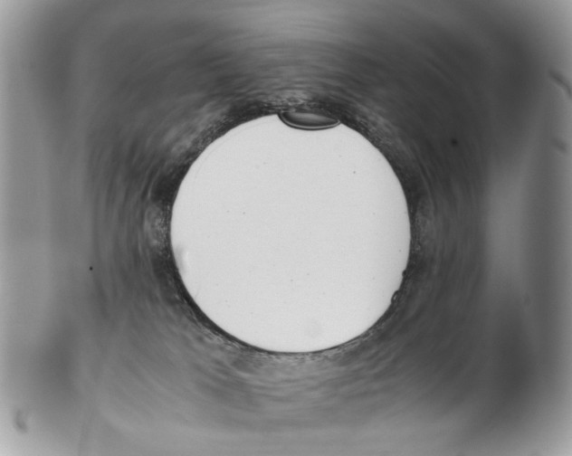 X0000102470037200809051343