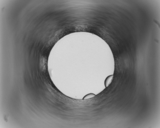 X0000102470038200809051343