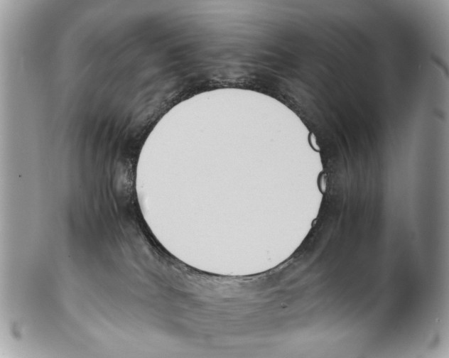 X0000102470040200809051343
