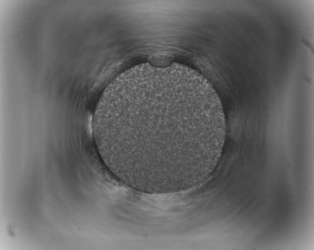 X0000102470041200809051343