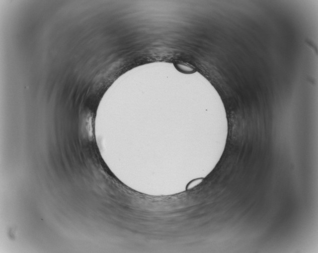 X0000102470042200809051343