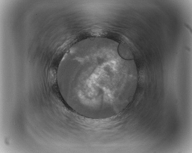 X0000102470043200809051343