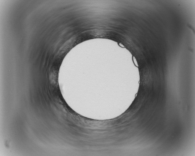 X0000102470044200809051343