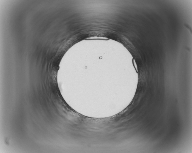 X0000102470045200809051343