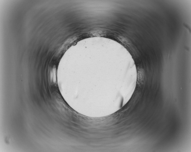 X0000102470046200809051343