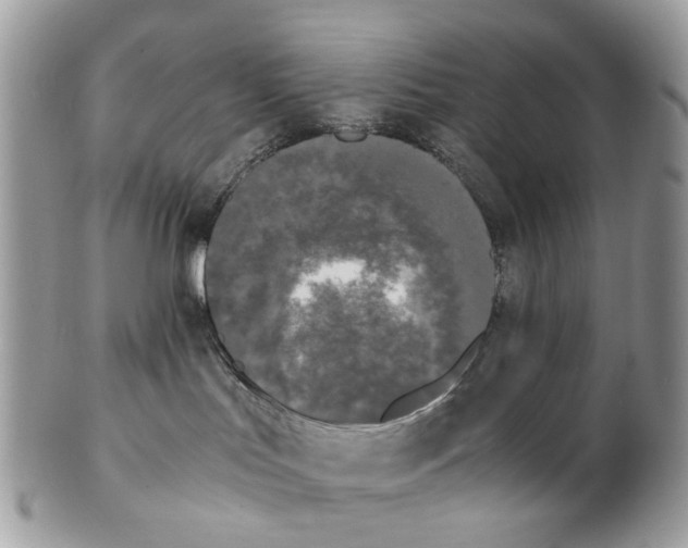 X0000102470047200809051343