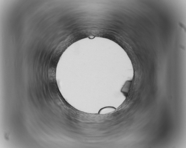 X0000102470048200809051343