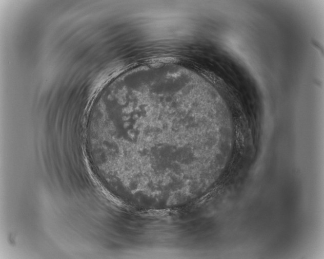 X0000102470049200809051342