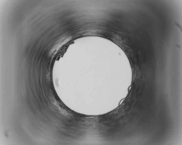 X0000102470050200809051342