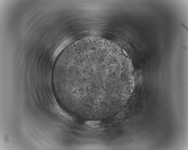 X0000102470051200809051342
