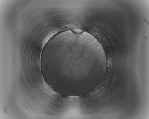 X0000102470052200809051342
